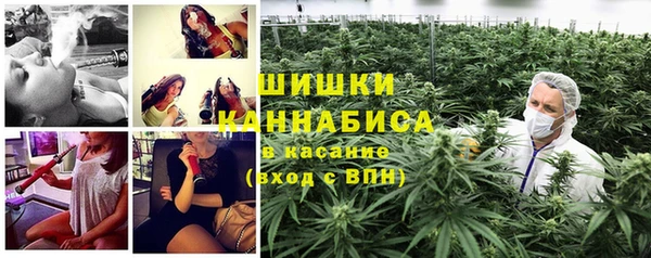 соль ск Вязьма
