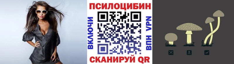 Галлюциногенные грибы Psilocybine cubensis  магазин продажи   Звенигово 
